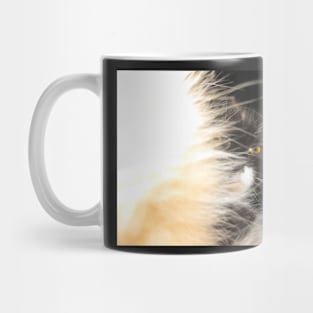 Fluffy Calico Cat Mug